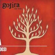 Le texte musical TORII de GOJIRA est également présent dans l'album The link (2003)