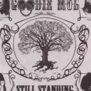 Le texte musical BEATIFUL SKIN" de GOODIE MOB est également présent dans l'album Still standing (1998)