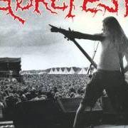 Le texte musical MASS INSANITY de GOREFEST est également présent dans l'album The eindhoven insanity (1993)