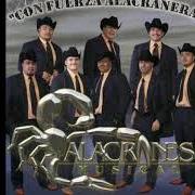 Le texte musical POR TU AMOR (DURANGUENSE) de ALACRANES MUSICAL est également présent dans l'album Ahora y siempre (2007)