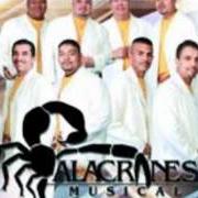 Le texte musical LOS CALZONES de ALACRANES MUSICAL est également présent dans l'album Furia alacranera (2003)