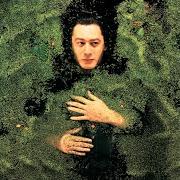 Le texte musical SOMMES-NOUS de ALAIN BASHUNG est également présent dans l'album Fantaisie militaire (1998)