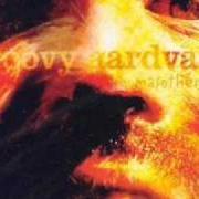 Le texte musical IMPOSER DE S'IMPLOSER de GROOVY AARDVARK est également présent dans l'album Masothérapie (2002)