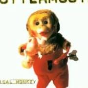 Le texte musical WHAT IF? de GUTTERMOUTH est également présent dans l'album Musical monkey (1997)