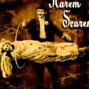 Le texte musical RAIN de HAREM SCAREM est également présent dans l'album Believe (1997)