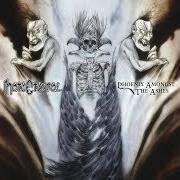 Le texte musical HAUNTING ABOUND de HATE ETERNAL est également présent dans l'album Phoenix amongst the ashes (2011)
