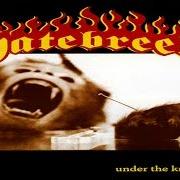 Le texte musical KILL AN ADDICT de HATEBREED est également présent dans l'album Under the knife (2000)