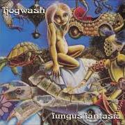 Le texte musical WILLIE THE REBEL de HOGWASH est également présent dans l'album Fungus fantasia (1997)