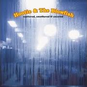 Le texte musical HEY, HEY WHAT CAN I DO de HOOTIE AND THE BLOWFISH est également présent dans l'album Scattered, smothered & covered (2000)