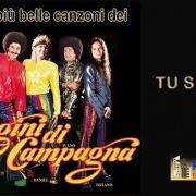 Le texte musical CONCHIGLIA BIANCA de CUGINI DI CAMPAGNA est également présent dans l'album Tu sei tu (1977)
