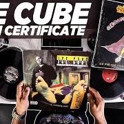 Le texte musical A BIRD IN THE HAND de ICE CUBE est également présent dans l'album Death certificate (1991)