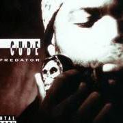 Le texte musical WICKED de ICE CUBE est également présent dans l'album The predator (1992)