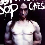 Le texte musical HATE de IGGY POP est également présent dans l'album American caesar (1993)