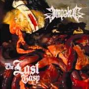 Le texte musical YOU ARE THE DEAD de IMPALED est également présent dans l'album The last grasp (2007)