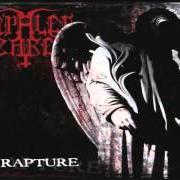 Le texte musical ANGEL RECTUMS DO BLEED de IMPALED NAZARENE est également présent dans l'album Rapture (1998)