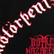 Le texte musical ALKOHOL de IMPALED NAZARENE est également présent dans l'album Motorpenis (1996)