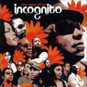 Le texte musical EVERYDAY de INCOGNITO est également présent dans l'album Bees + flowers + things (2006)