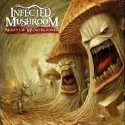 Le texte musical SERVE MY THIRST de INFECTED MUSHROOM est également présent dans l'album Army of mushrooms (2012)