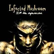 Le texte musical NOON de INFECTED MUSHROOM est également présent dans l'album Im the supervisor (2004)