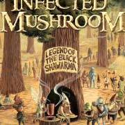 Le texte musical CAN'T STOP de INFECTED MUSHROOM est également présent dans l'album Legend of the black shawarma (2009)