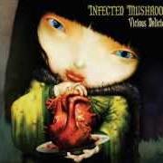 Le texte musical EAT IT RAW de INFECTED MUSHROOM est également présent dans l'album Vicious delicious (2007)