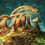 Le texte musical SAVANT ON MUSHROOMS de INFECTED MUSHROOM est également présent dans l'album Friends on mushrooms, vol. 2 (2013)