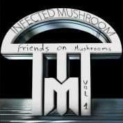 Le texte musical BASS NIPPLE de INFECTED MUSHROOM est également présent dans l'album Friends on mushrooms, vol. 1 (2013)