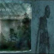 Le texte musical BEREAVEMENT de INSOMNIUM est également présent dans l'album Since the day it all came down (2004)
