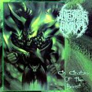 Le texte musical ENERGUMENUS (THE BIRTH OF THE CURSED CREATIONS) de INTESTINE BAALISM est également présent dans l'album An anatomy of the beast (1997)