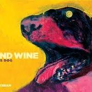 Le texte musical LOVESONG OF THE BUZZARD de IRON & WINE est également présent dans l'album The shepherd's dog (2007)