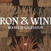 Le texte musical LAST OF YOUR ROCK 'N' ROLL HEROES de IRON & WINE est également présent dans l'album Weed garden (2018)