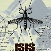Le texte musical RELOCATION SWARM de ISIS est également présent dans l'album Mosquito control (1998)