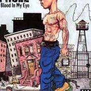 Le texte musical BLOOD IN MY EYE de JA RULE est également présent dans l'album Blood in my eye (2003)