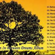 Le texte musical NO OTHER WAY de JACK JOHNSON est également présent dans l'album In between dreams (bonus track version) (2005)