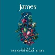 Le texte musical MANY FACES de JAMES est également présent dans l'album Living in extraordinary times (2018)