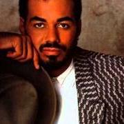 Le texte musical PARTY ANIMAL de JAMES INGRAM est également présent dans l'album It's your night (1983)