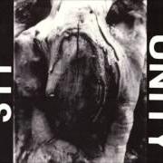 Le texte musical C.U.T.M. de 311 est également présent dans l'album Unity (1991)