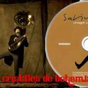 Le texte musical BLUES DEL ALAMBIQUE de JOAQUIN SABINA est également présent dans l'album Vinagre y rosas (2009)