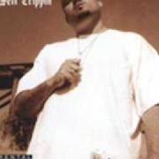 Le texte musical SMILE NOW, TRY LATER de JUAN GOTTI est également présent dans l'album No sett trippin (2002)