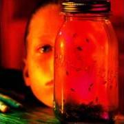 Le texte musical ROTTEN APPLE de ALICE IN CHAINS est également présent dans l'album Jar of flies