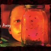 Le texte musical ROTTEN APPLE de ALICE IN CHAINS est également présent dans l'album Jar of flies - ep (1994)