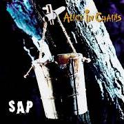 Le texte musical GOT ME WRONG de ALICE IN CHAINS est également présent dans l'album Sap - ep (1992)