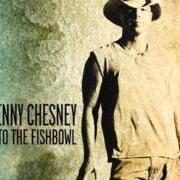 Le texte musical TIME FLIES de KENNY CHESNEY est également présent dans l'album Welcome to the fishbowl (2012)