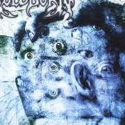 Le texte musical ALL BOWING HEADS ROLL de KOLDBORN est également présent dans l'album First enslavement (2002)