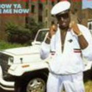 Le texte musical 50 WAYS de KOOL MOE DEE est également présent dans l'album How ya like me now (1987)