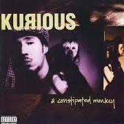 Le texte musical WALK LIKE A DUCK de KURIOUS est également présent dans l'album A constipated monkey (1994)