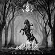 Le texte musical DIE SEHNSUCHT IN MIR de LACRIMOSA est également présent dans l'album Sehnsucht (2009)