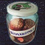 Le texte musical BLUNZENFETT IM INTERNET de ALKBOTTLE est également présent dans l'album Trivialkbottle (1997)
