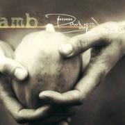 Le texte musical 'TIL THE CLOUDS CLEAR de LAMB est également présent dans l'album Between darkness and wonder (2003)