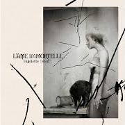 Le texte musical WAR OF SILENCE de L'AME IMMORTELLE est également présent dans l'album Ungelebte leben (2024)